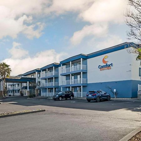 Comfort Suites Red Bluff near I-5 Exterior foto